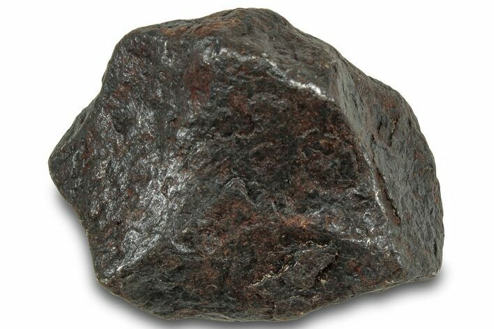 Canyon Diablo Iron Meteorite ( g) - Arizona #319629